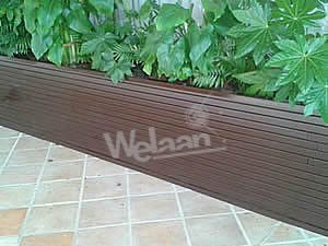 WELADSIM Palisandro
